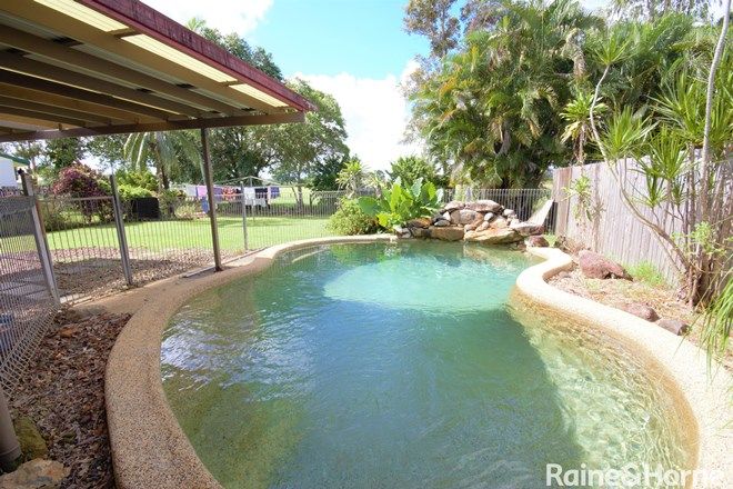 Picture of 16 Castor Street, MOURILYAN QLD 4858