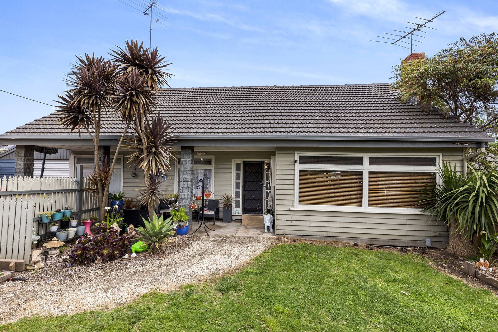 62 Presidents Avenue, Ocean Grove VIC 3226, Image 2