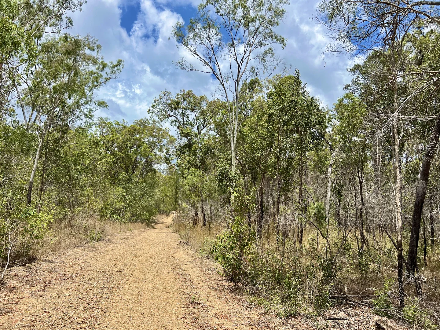 Image 15