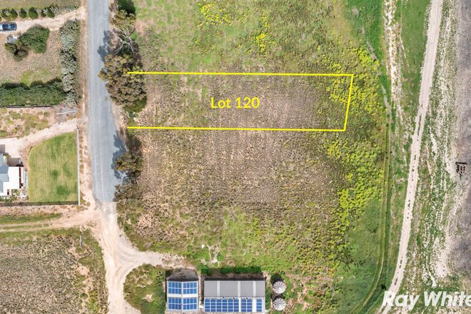 Picture of Lot 120/63 Kelsey Road, WELLINGTON EAST SA 5259