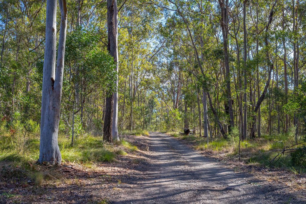 Lot 283 Tunstall Road, Charlwood QLD 4309, Image 2