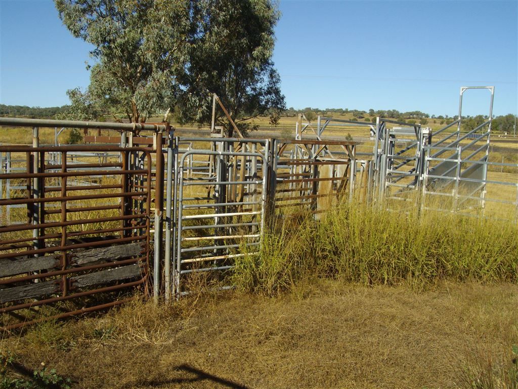 Lot 204 Rossvale West Rd, Pittsworth QLD 4356, Image 1