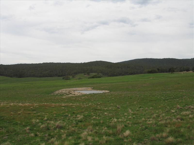 72  Wild Cattle Flat Road, Jingera NSW 2622, Image 2