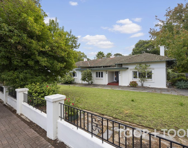 389 The Parade , Kensington Park SA 5068