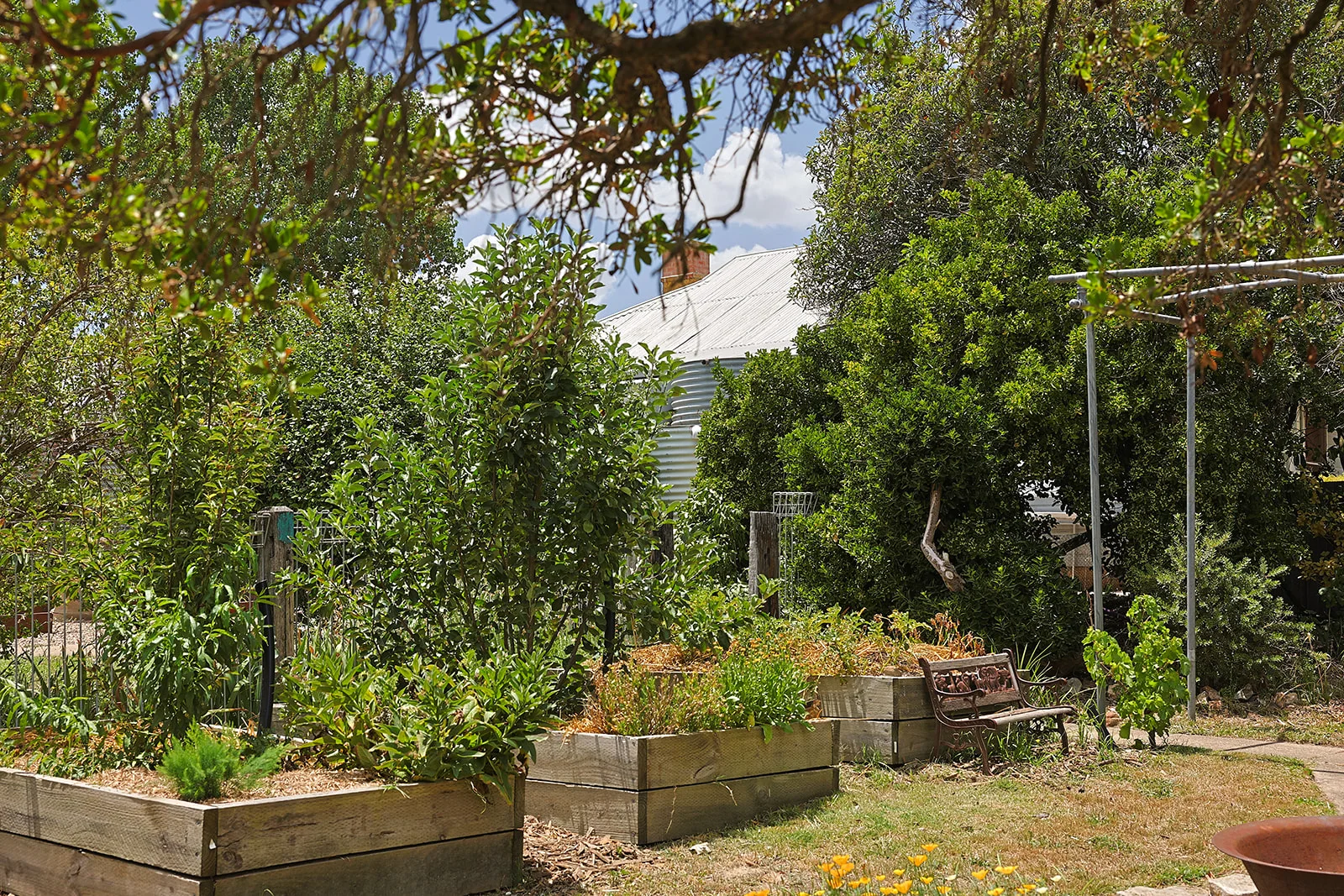 Image 23