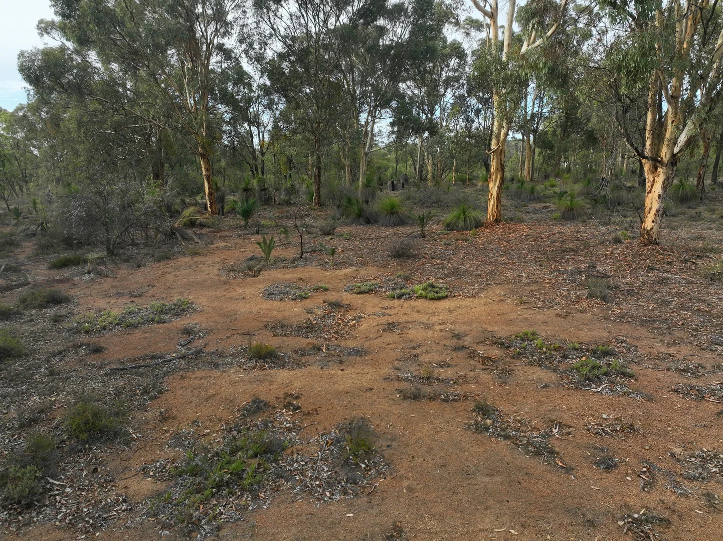 Image 18