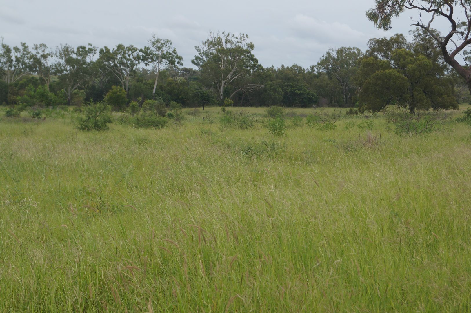 'Southwalk Station' Back Creek Road, Charters Towers City QLD 4820, Image 2