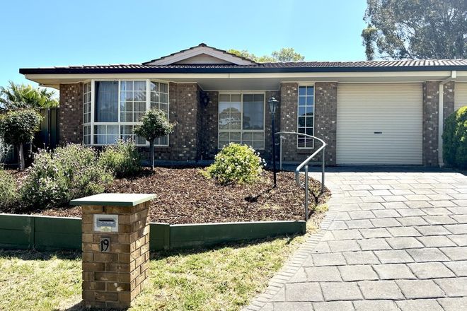 Picture of 19 Musgrave Avenue, ABERFOYLE PARK SA 5159