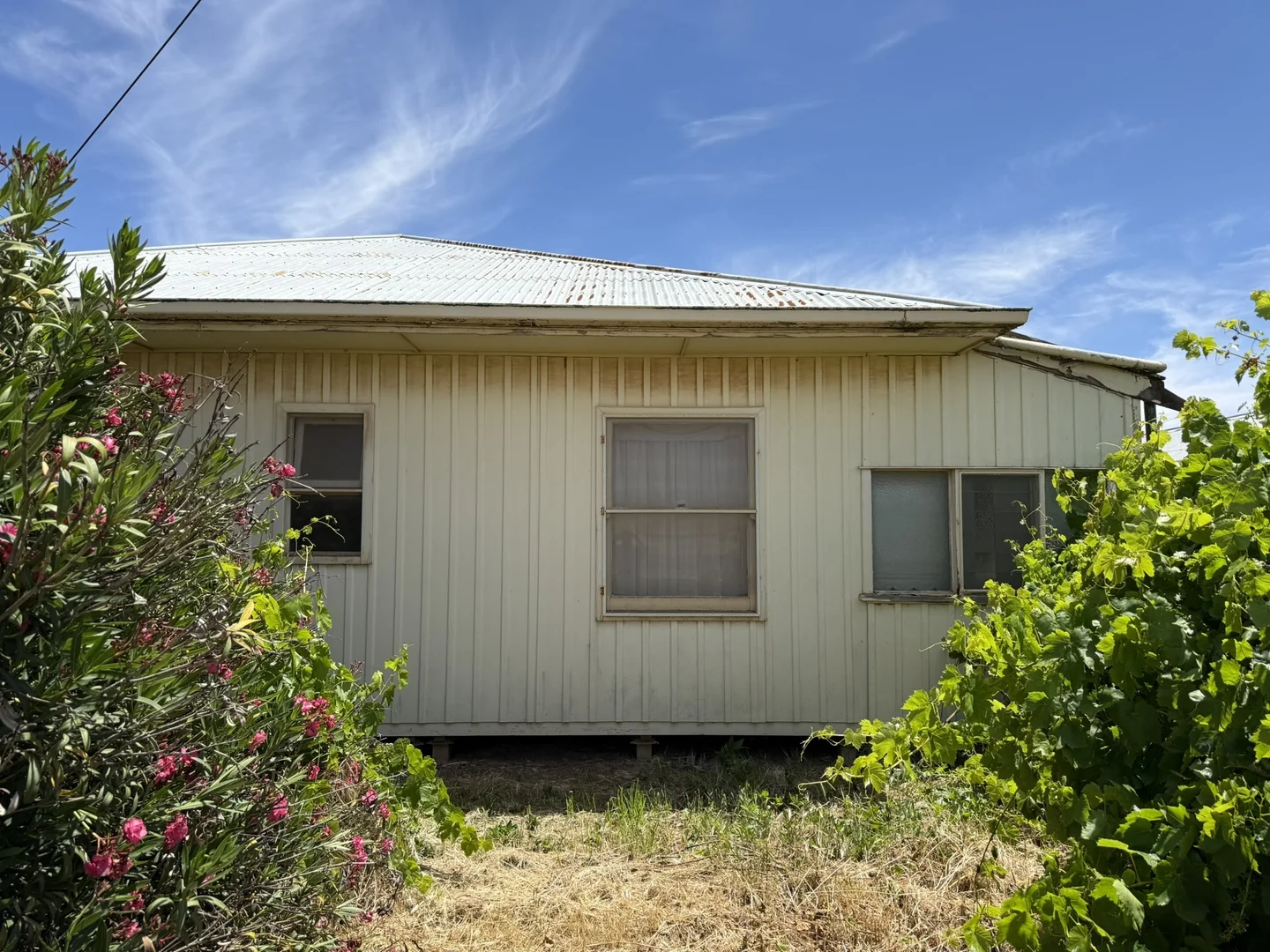 Image 18