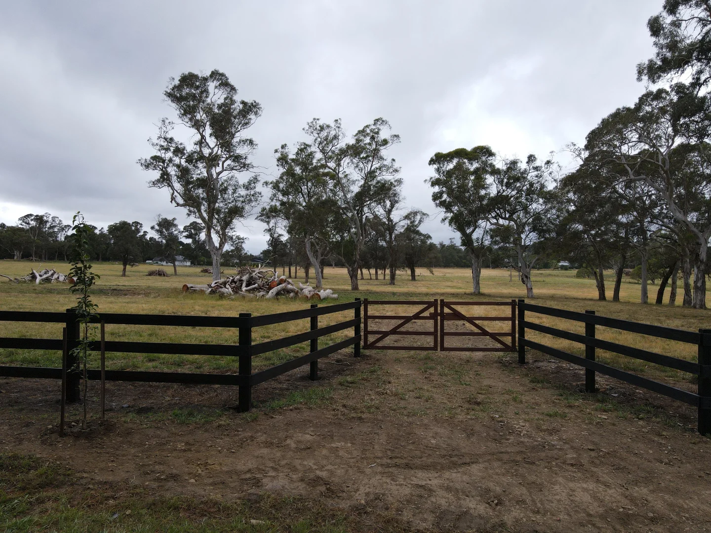 Image 20
