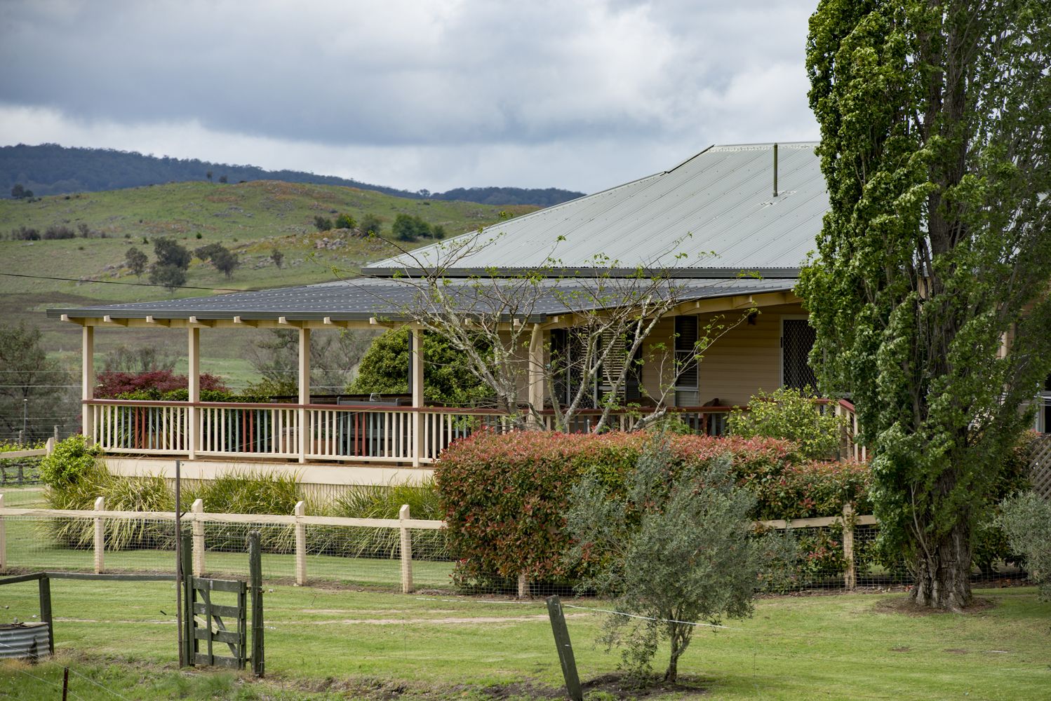 11812 Bruxner Highway, Tenterfield NSW 2372, Image 2