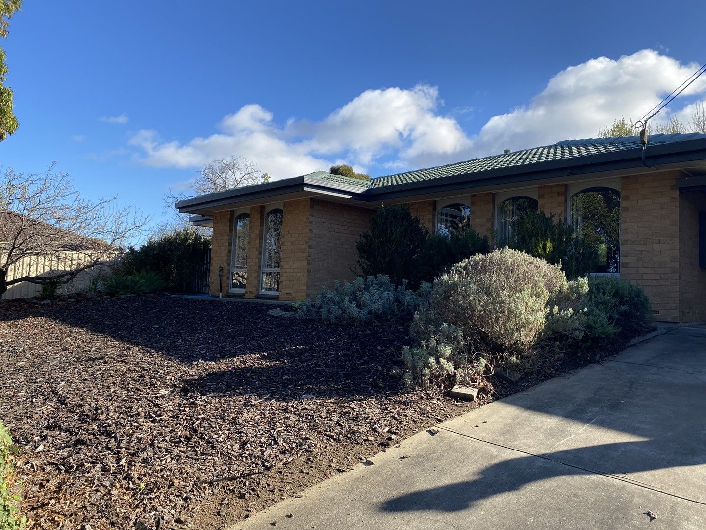 33 Riordan Street, Morphett Vale SA 5162 House For Rent Domain