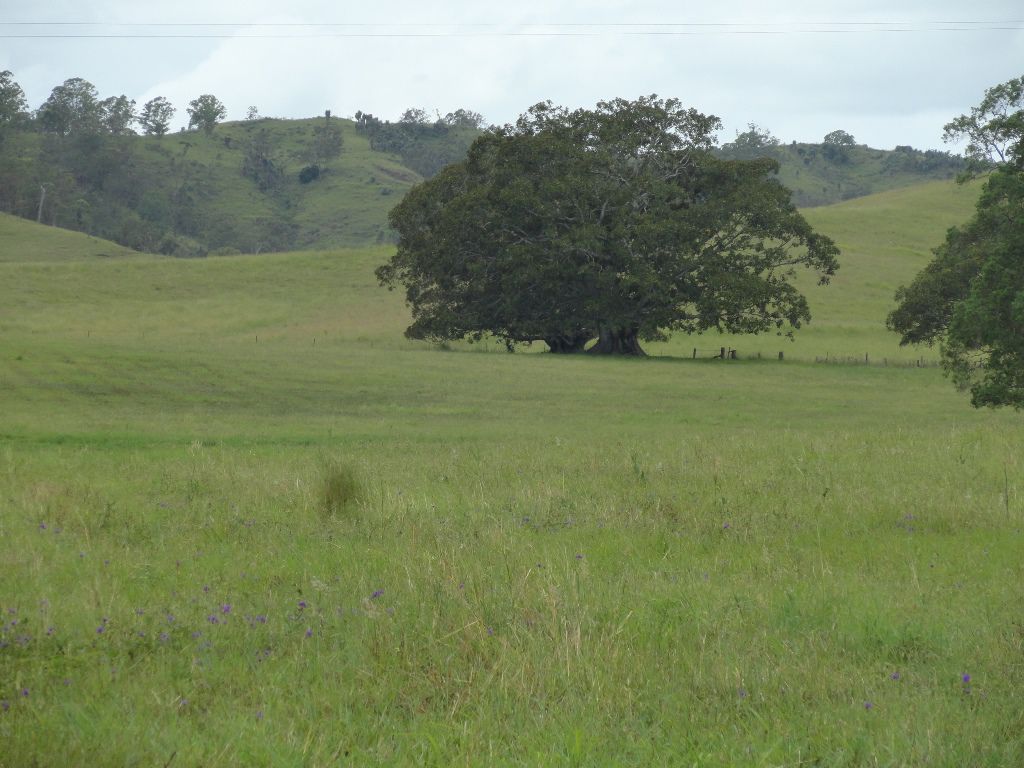 Kyogle NSW 2474, Image 1