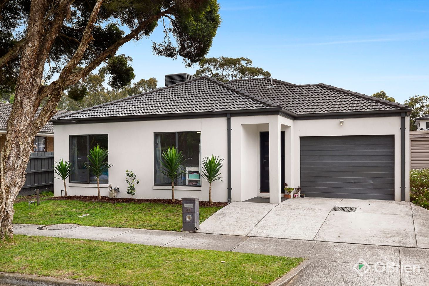 3 bedrooms House in 47 Bell Bird Drive BAYSWATER NORTH VIC, 3153