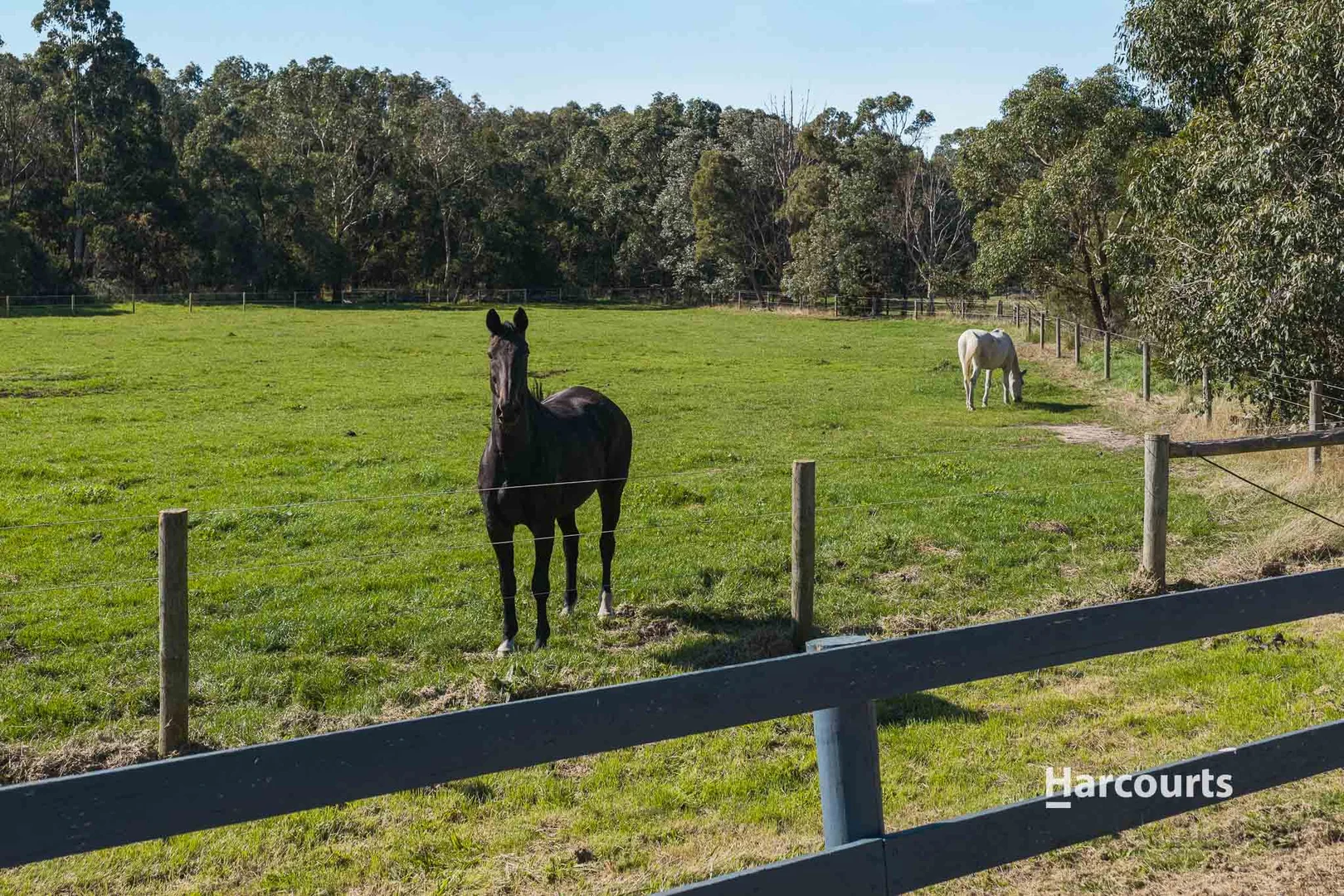Additional image 29 of 1/170 Nash Road, Bunyip VIC 3815