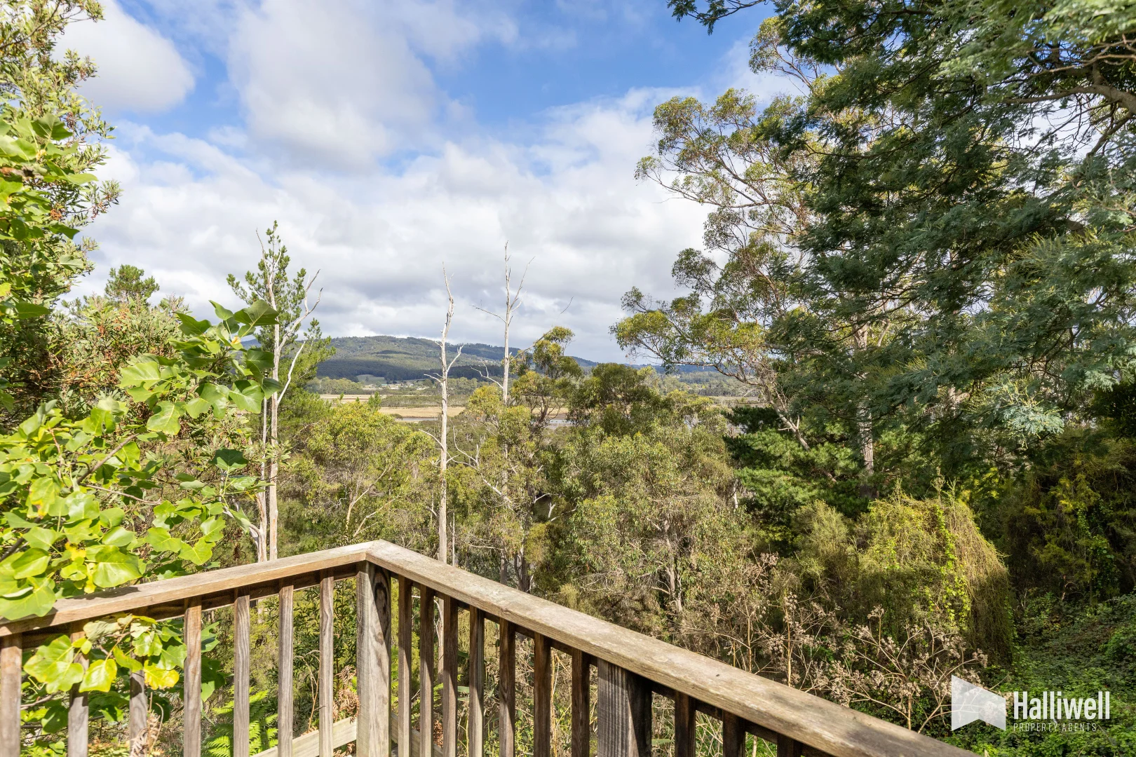 Additional image 14 of 91 Lochner Street, Latrobe TAS 7307