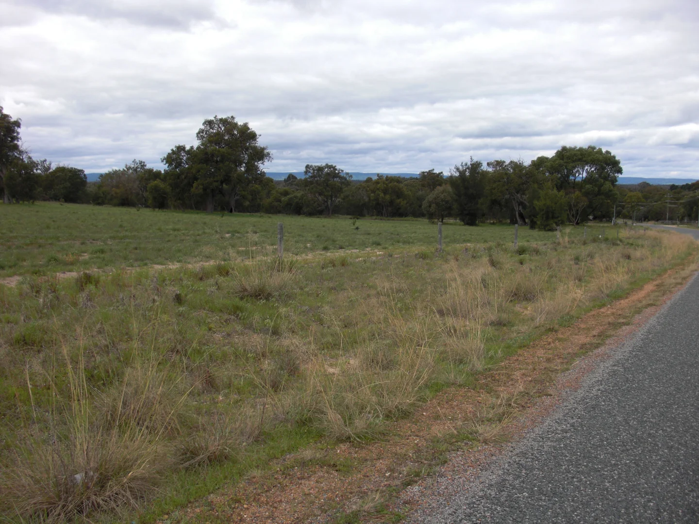 Image 12