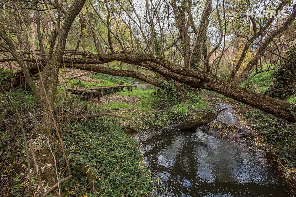 Lot 16 Pole Road, Upper Sturt SA 5156, Image 0