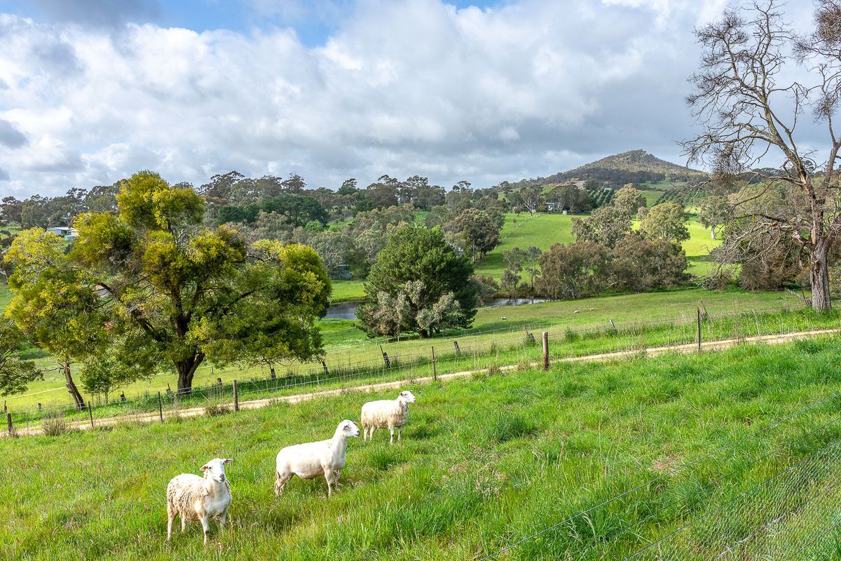 86 Summit Road, Nairne SA 5252, Image 2