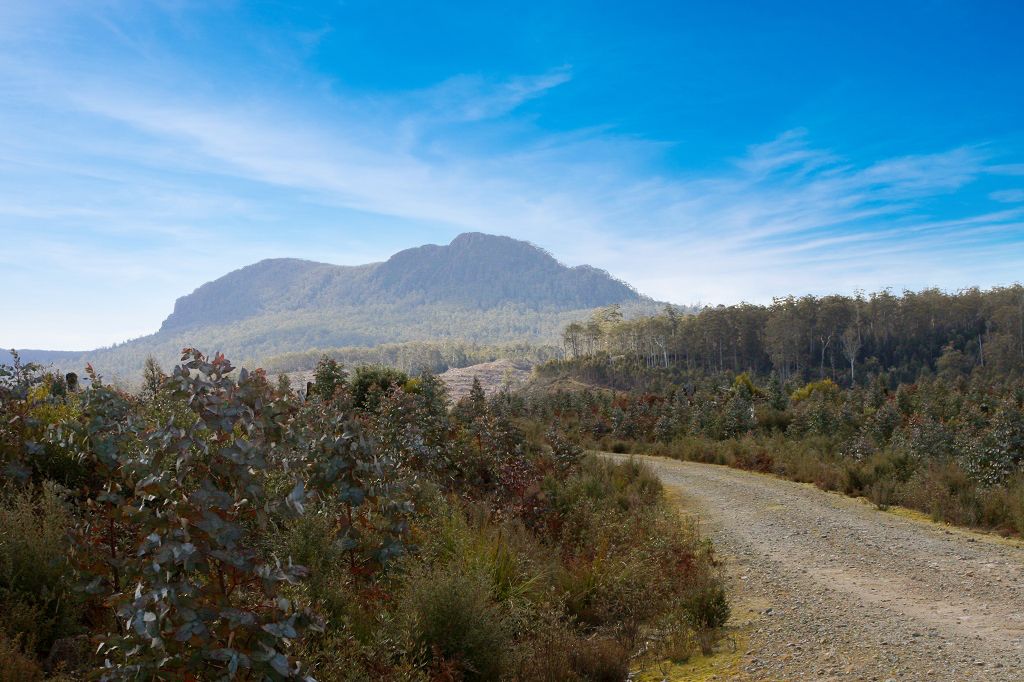 Vacant land in Lot 1 Dilgers Hill Road, MATHINNA TAS, 7214