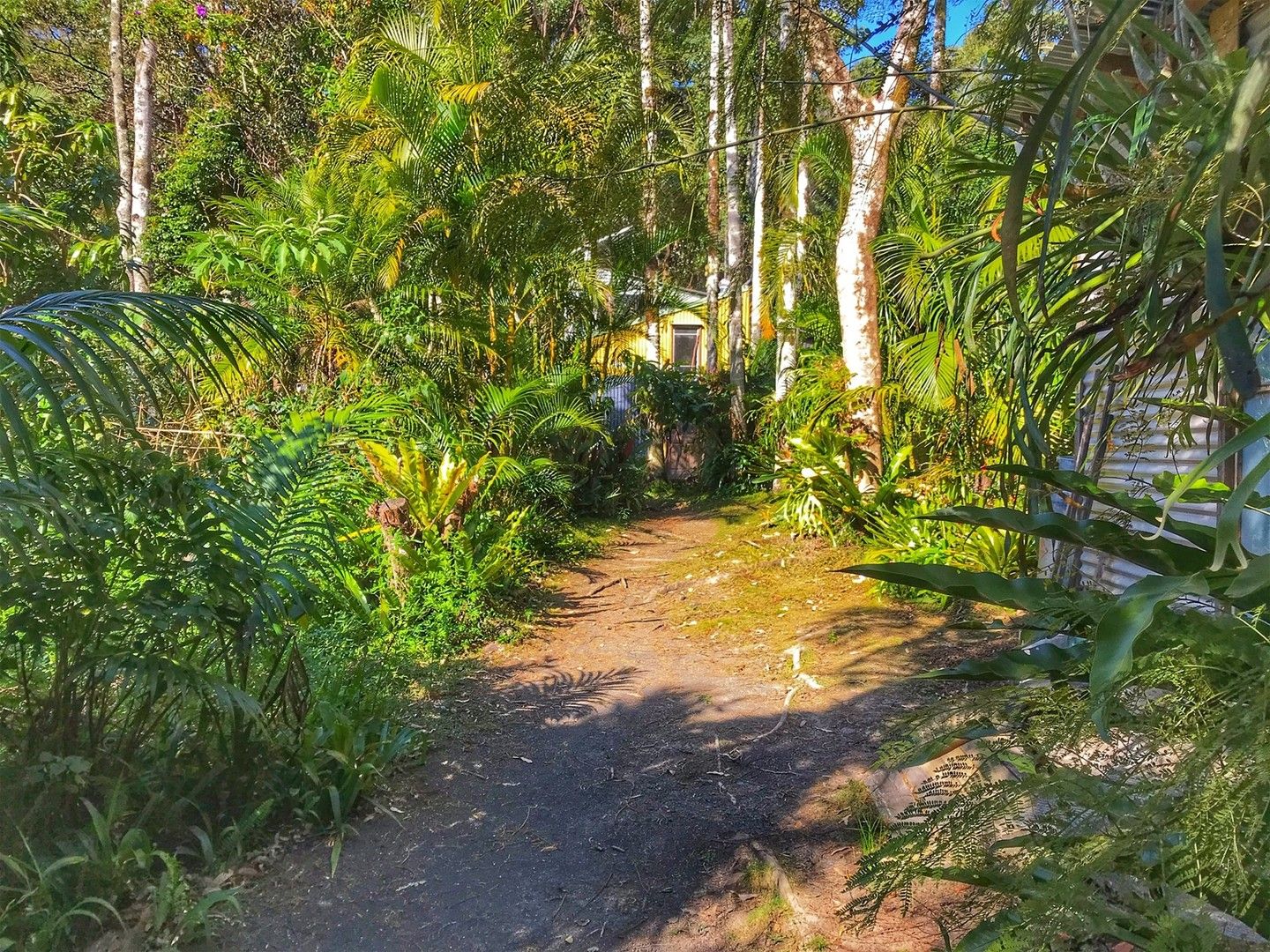 904 Blue Knob Road, Nimbin NSW 2480 House for Sale Domain