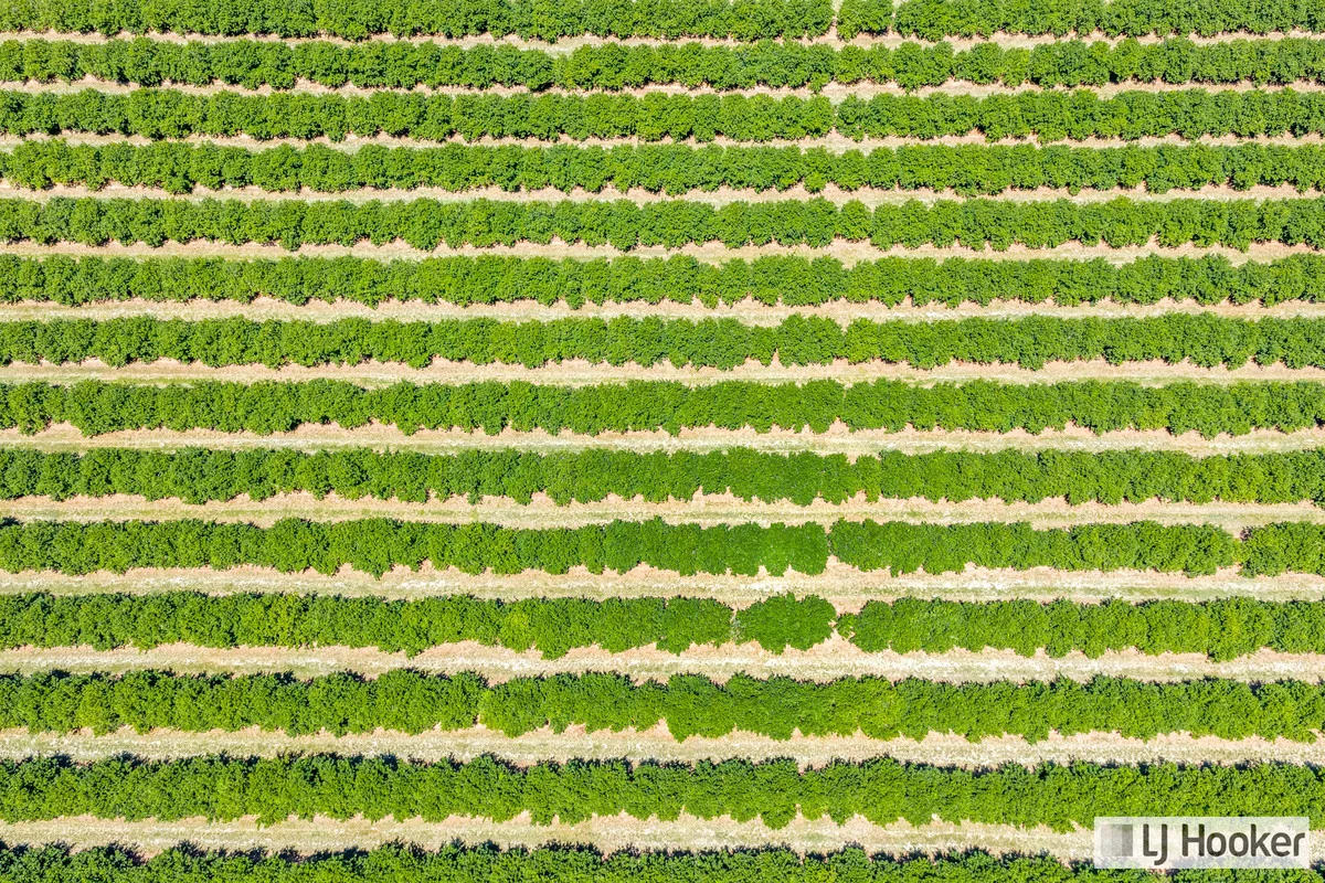 Additional image 11 of Meadowvale QLD 4670