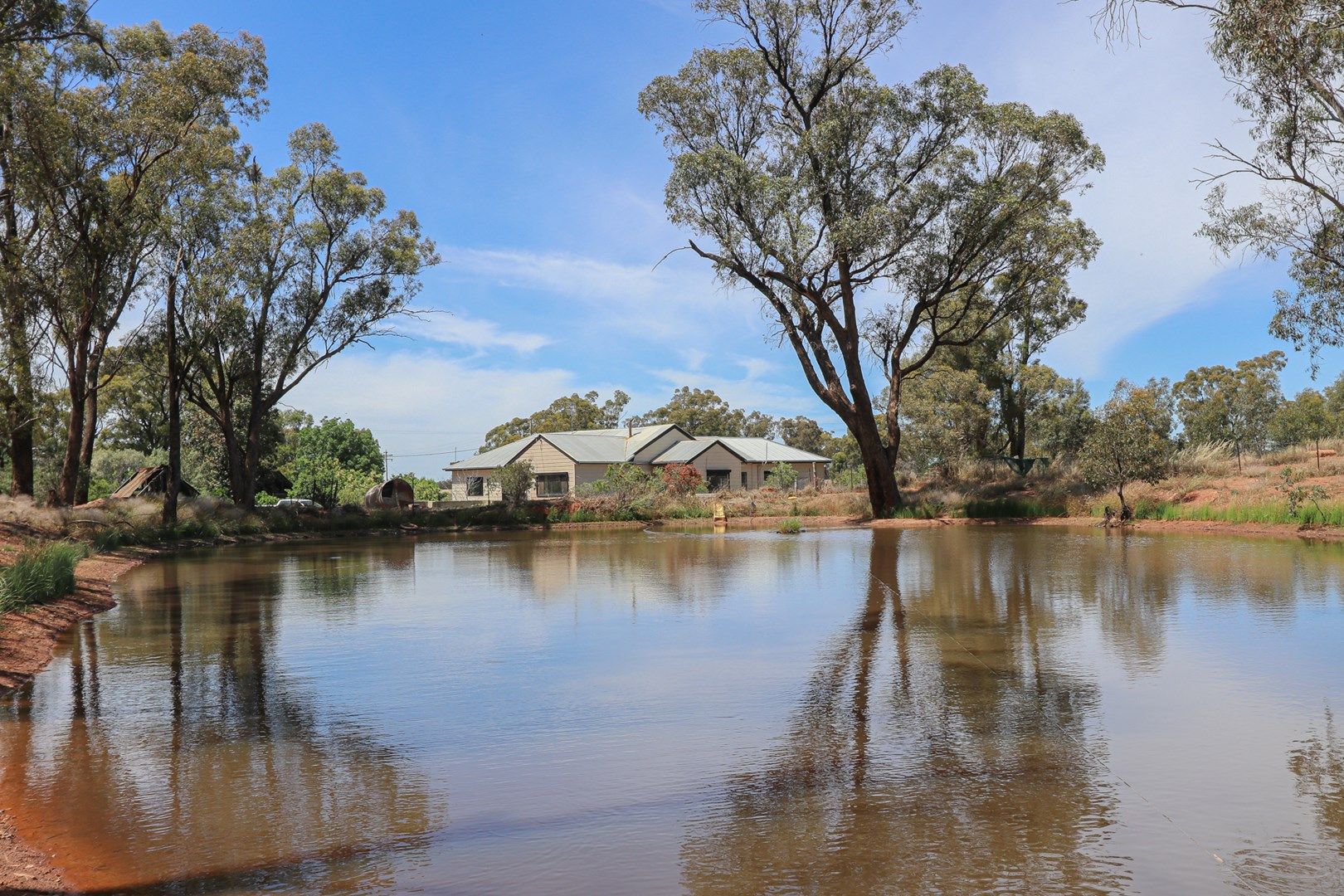 1951 Alleena Road, Alleena NSW 2671, Image 0