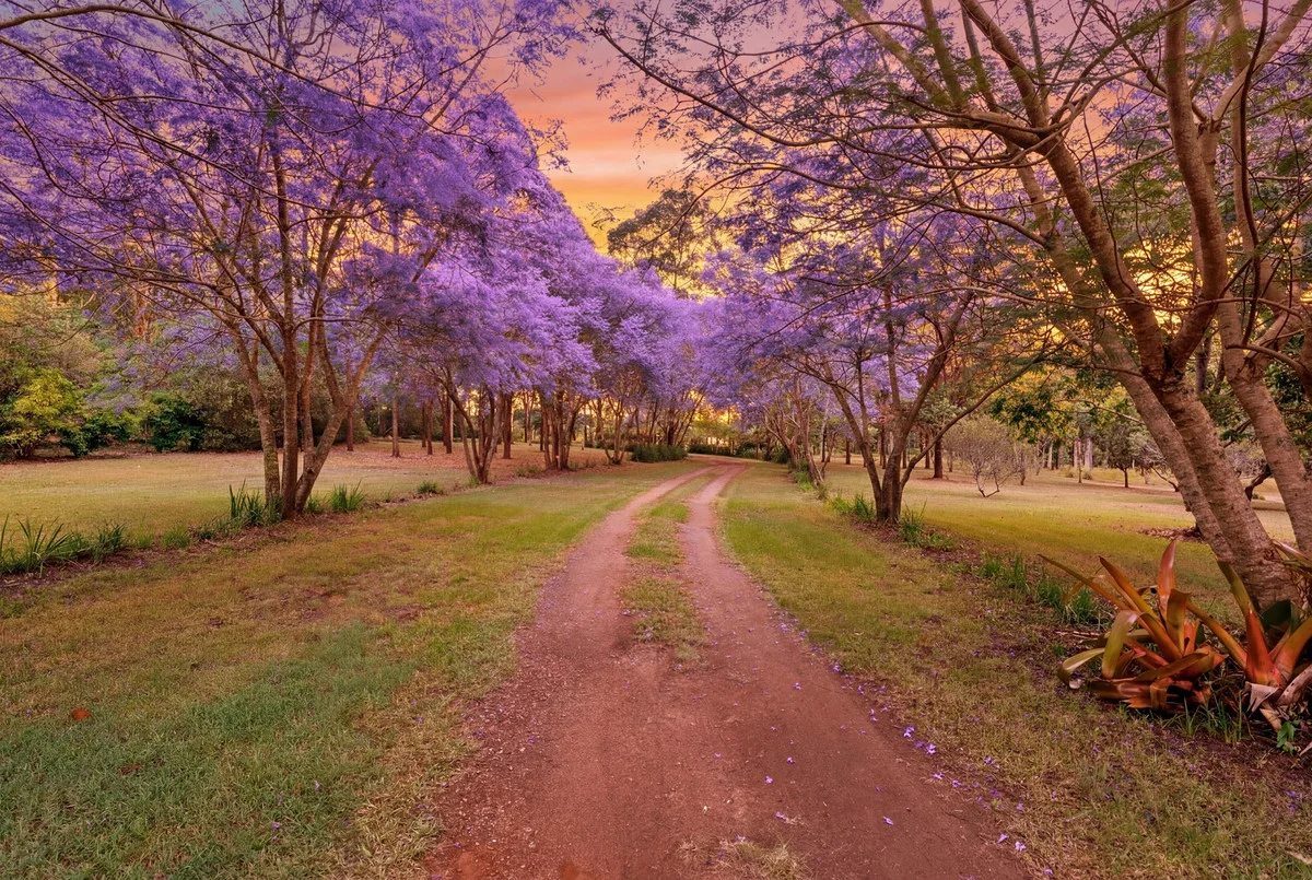 Additional image 34 of 369 Haynes Kite Millar Road, Blackbutt South QLD 4314