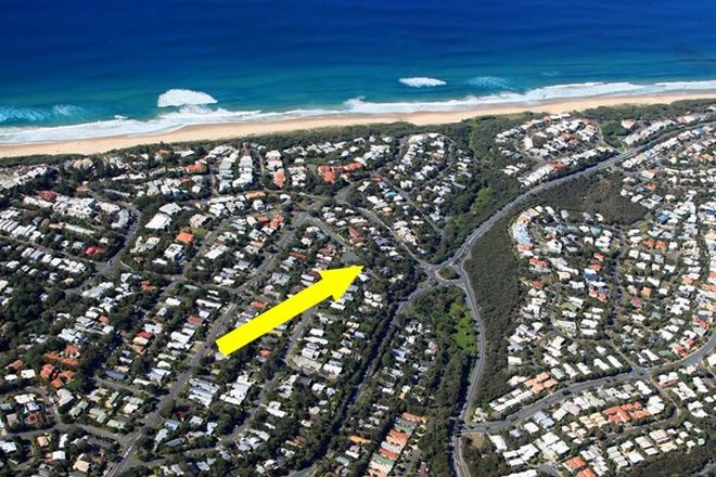 Picture of 6 Wildflower Street, SUNSHINE BEACH QLD 4567