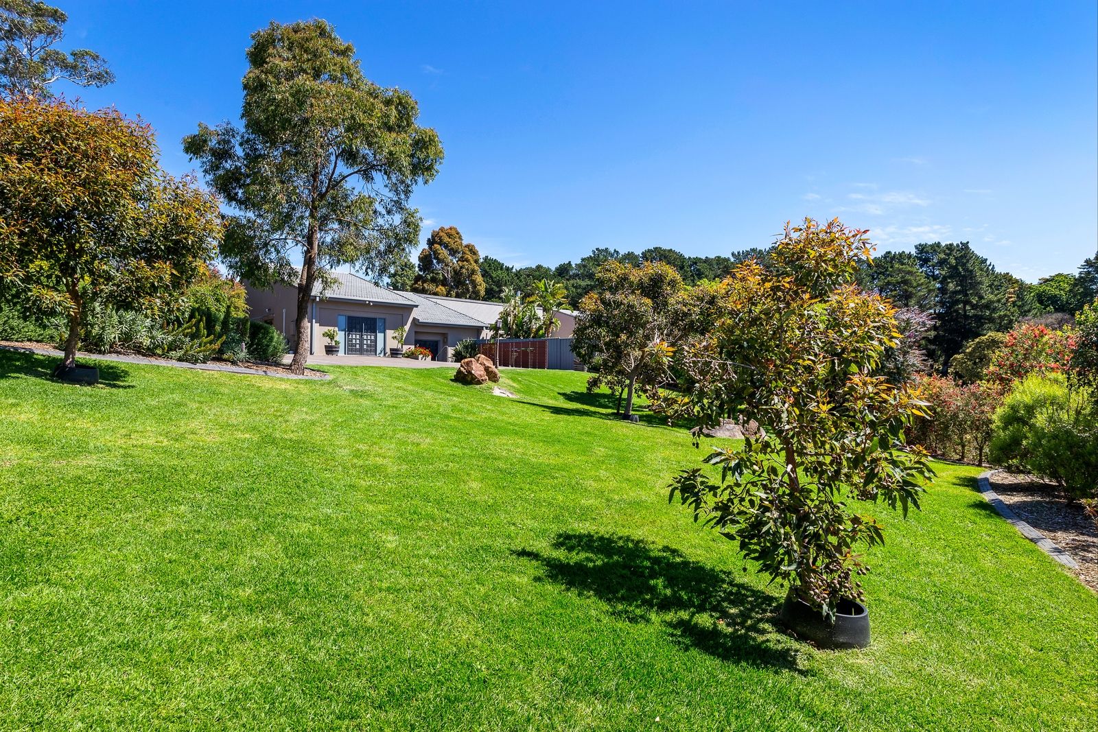 14 Brian Court, Mount Eliza VIC 3930 Domain