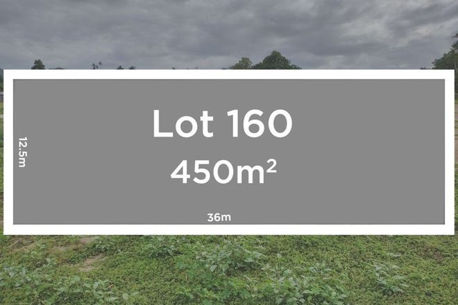 Picture of Lot 160 The Palms, KEWARRA BEACH QLD 4879