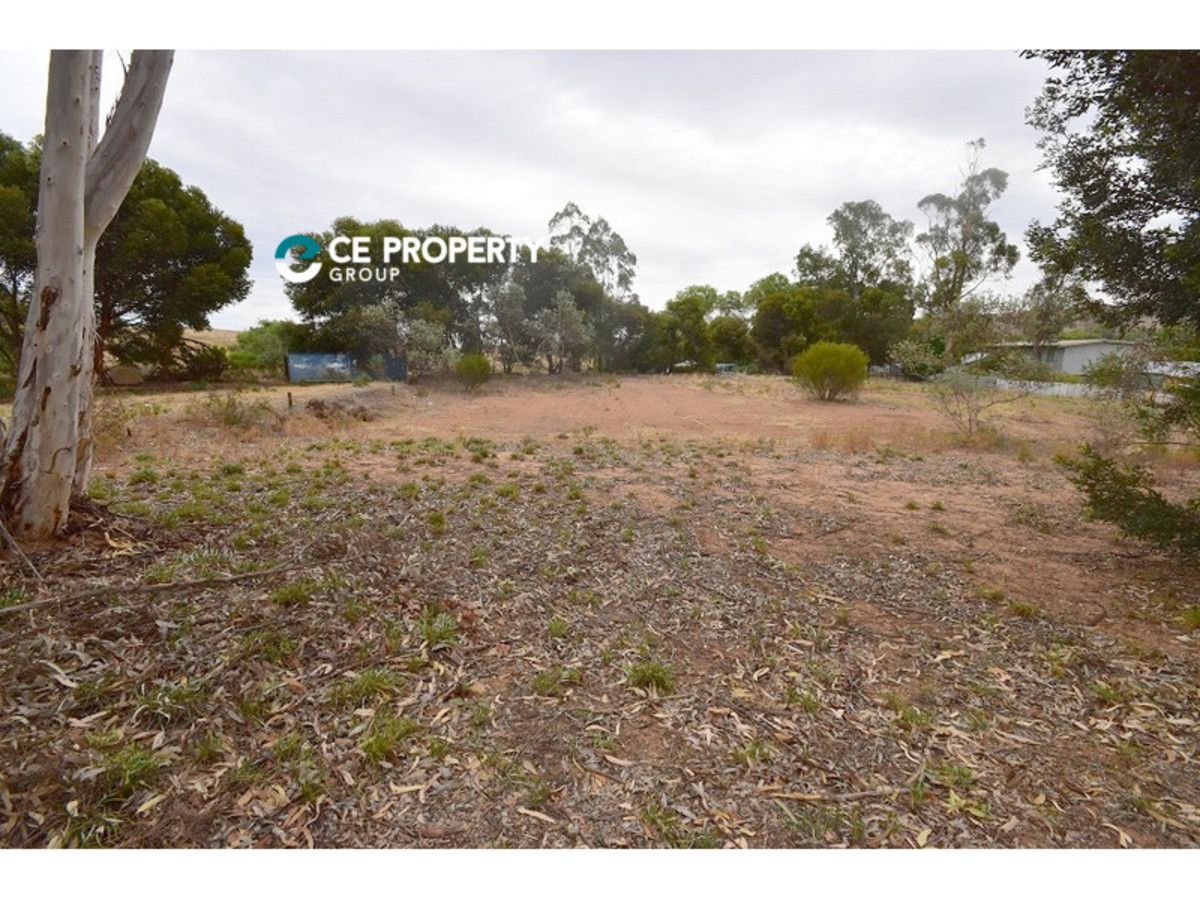 Lot 55 Perseverance Court, Younghusband SA 5238, Image 0