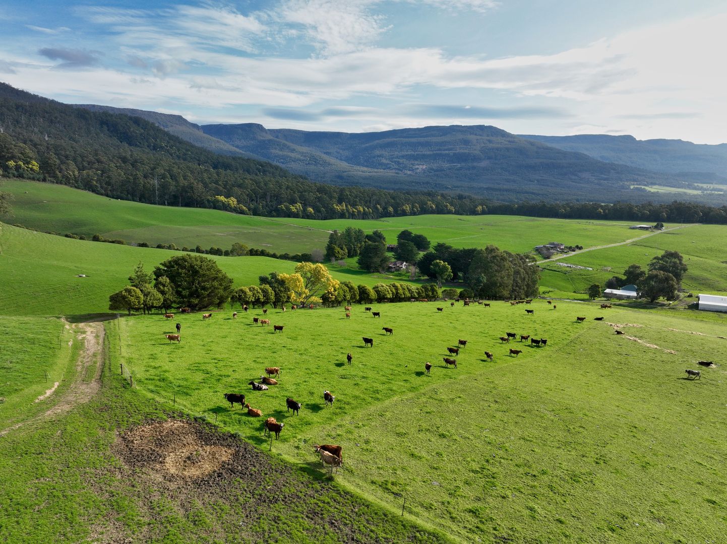 158 Lees Road, Western Creek TAS 7304, Image 2