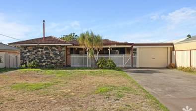 Picture of 215 Hardey Road, BELMONT WA 6104