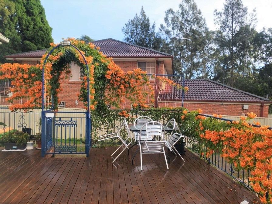 45 Windarra Street, Narwee NSW 2209