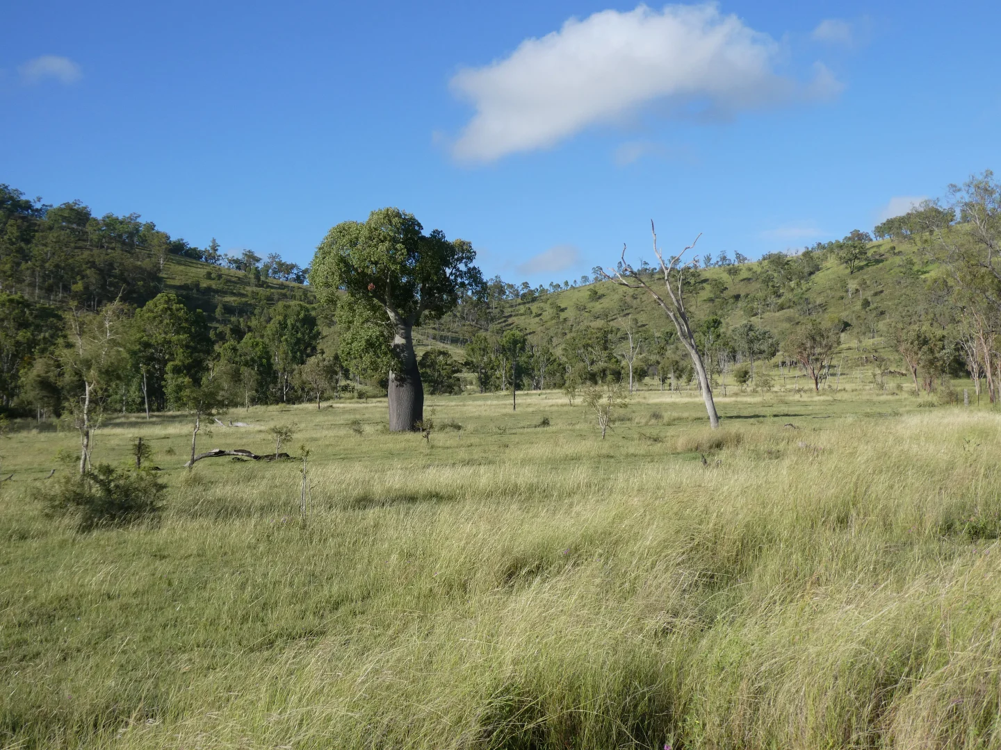 Image 35
