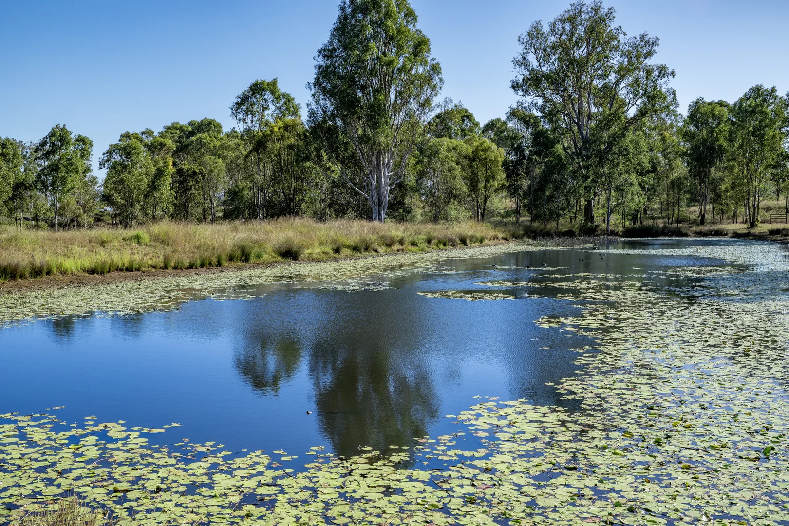 Image 36