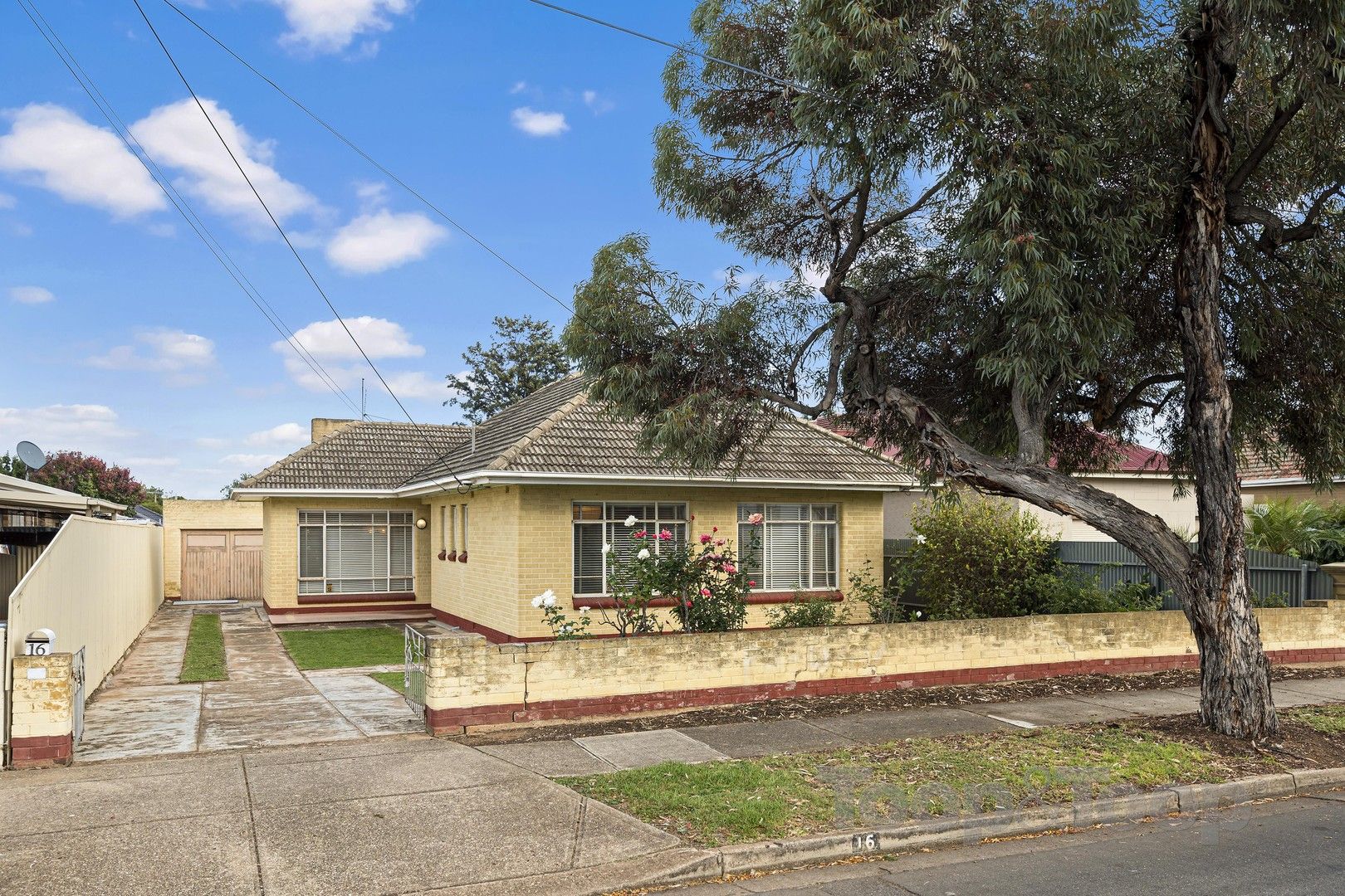 16 Meredith Street, Sefton Park SA 5083, Image 0