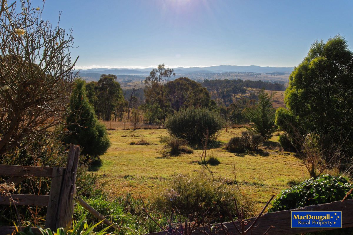 3723 Waterfall Way, Wollomombi NSW 2350, Image 2