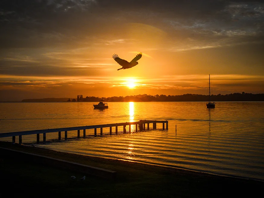 Additional image 32 of 60 Stingaree Point Drive, Dora Creek NSW 2264