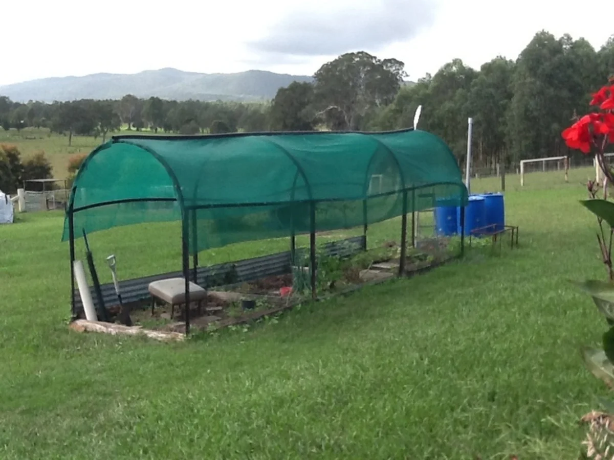 Additional image 31 of 37 Dyraaba Street, Bonalbo NSW 2469