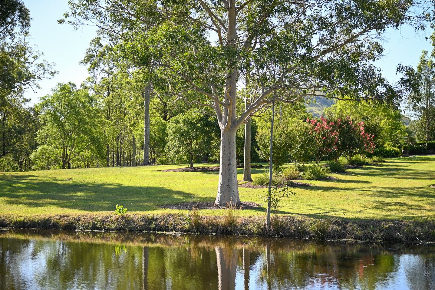 138 Dog Trap Creek Road, East Gresford NSW 2311, Image 0