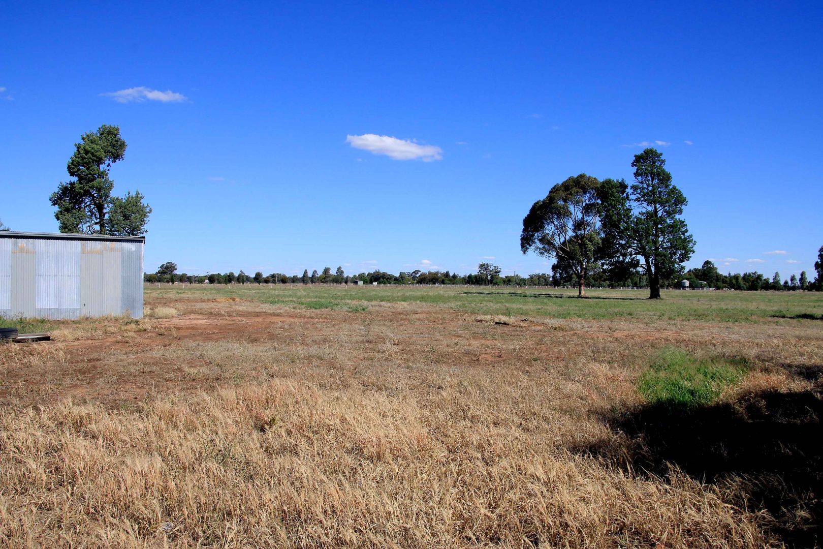 Lot 125 Treasure Street, Lockhart NSW 2656, Image 1