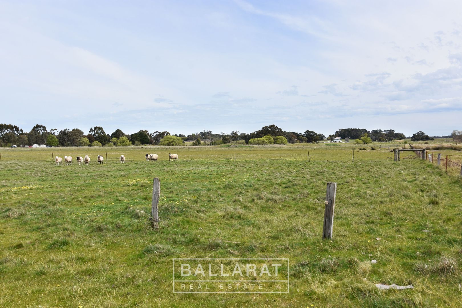 29 Wilkinsons Road, Raglan VIC 3373, Image 2