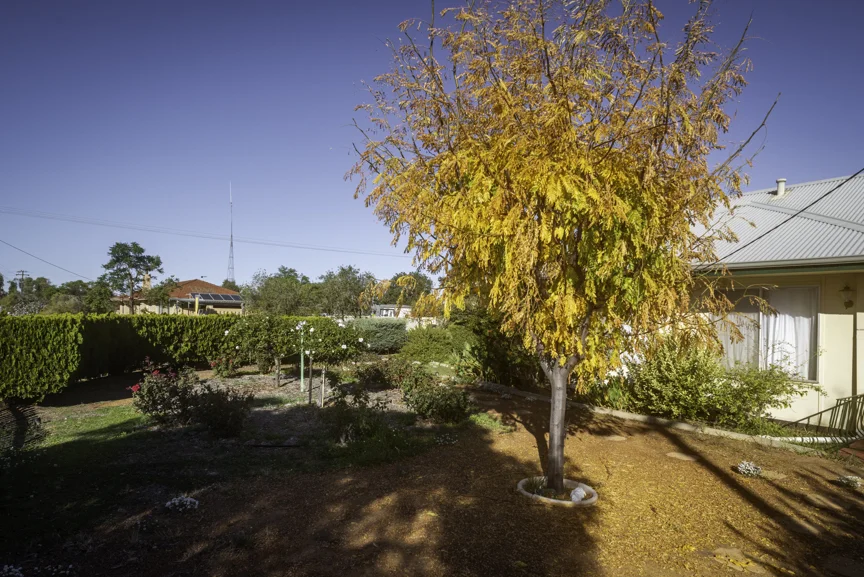 Image 12