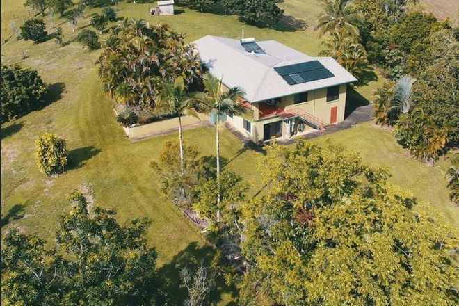 Picture of 1249 Palmerston Highway, COORUMBA QLD 4860