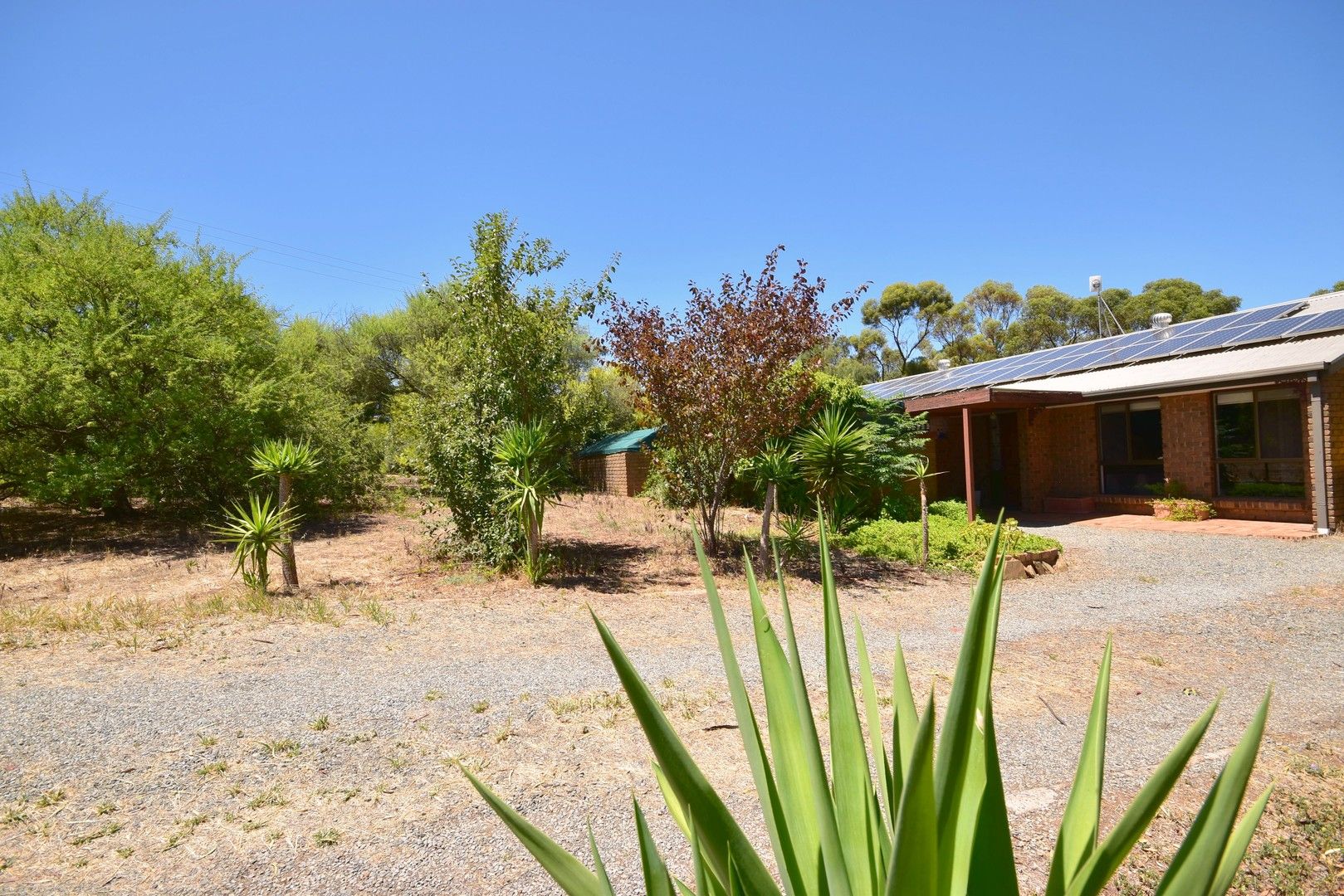 7 Milne Street, Rhynie SA 5412, Image 0