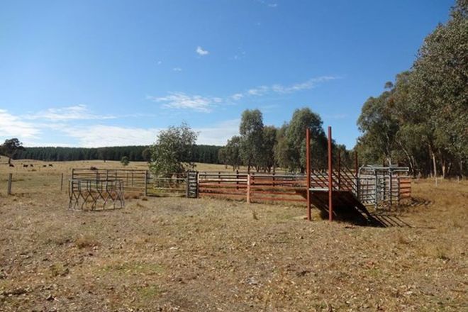 Picture of 00 Moyhu-Meadow Creek Road, MEADOW CREEK VIC 3678