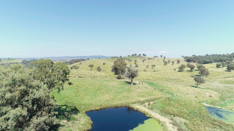 'Morella' 1257 Bundalah Road, Euchareena NSW 2866, Image 2