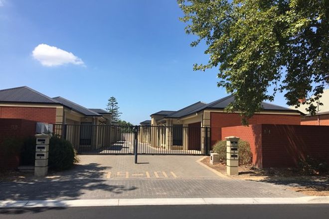 19 3 Bedroom Free Standing Houses For Rent In Torrensville Sa 5031 Domain